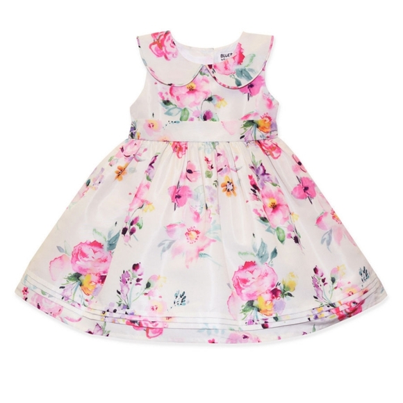 Blueber Boulevard Toddler girl sleeveless Fit & flare Dress Size 2T - Picture 1 of 8